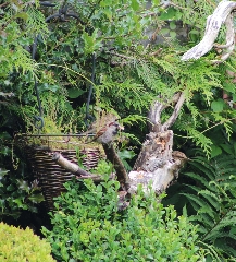 Feeding time in the Something Special Garden