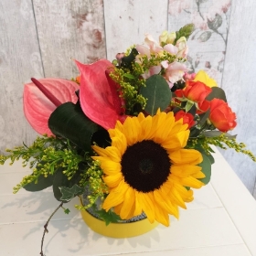 Summer Sun Hatbox