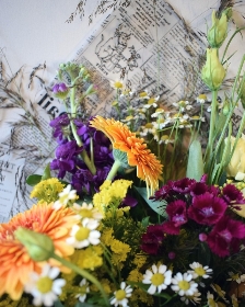 Colourful Clunie by Jillian