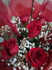 Valentines 6 Red Roses